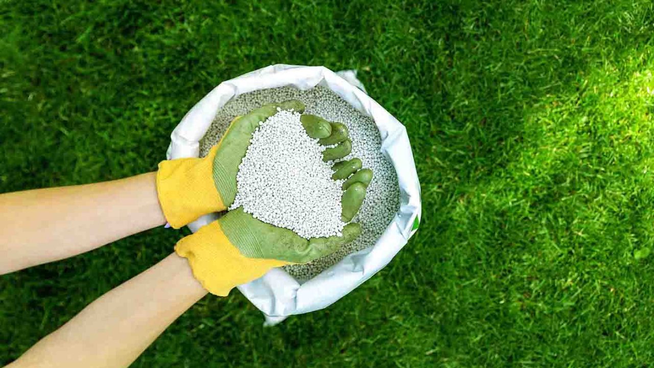Top Weed Control and Fertilizing Program in Rosemount, MN for a Lush Lawn