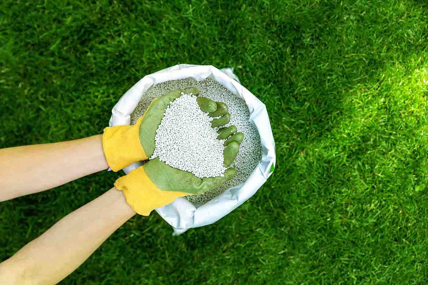 Weed Control and Fertilizing Program in Rosemount, MN